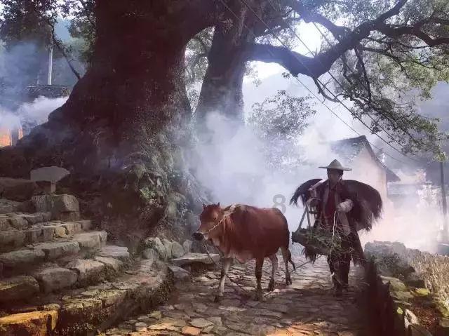 禅宗花园