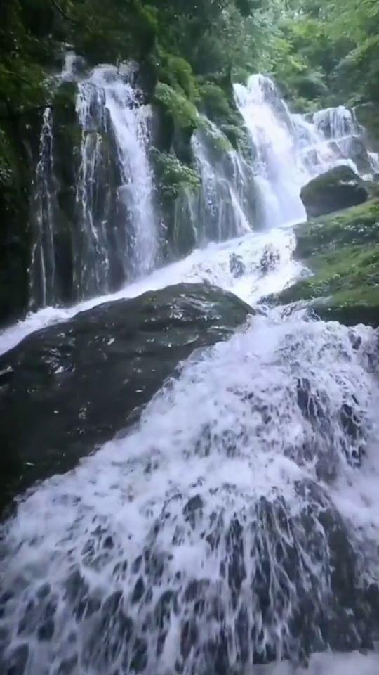 悲伤兔大冒险
