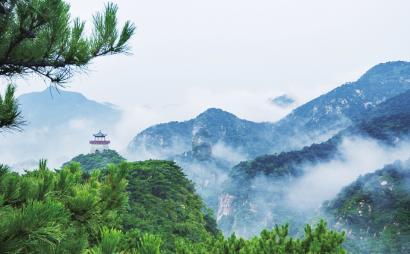 《要久久爱》方明雨办公室恋情曝光,惨遭渣男诬陷被家暴革职